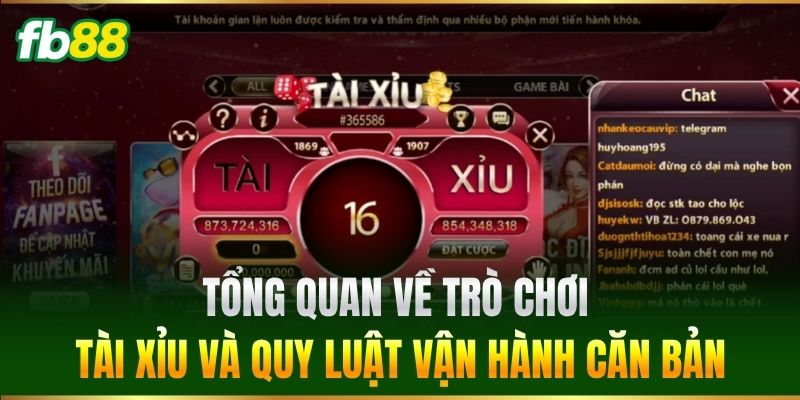 Tổng quan về trò chơi Tài Xỉu và quy luật vận hành căn bản